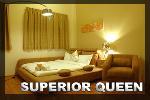 Superior Queen Hotel Room